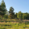 Działka Kąck