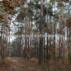Działka Gruszów Wielki