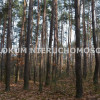Działka Gruszów Wielki