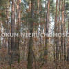 Działka Gruszów Wielki