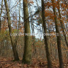 Działka Gruszów Wielki
