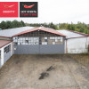 Lokal Łask ul.  