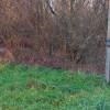Działka Baranów ul.  