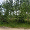 Działka Kielce ul. Łopuszniańska
