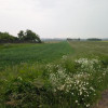 Działka Pińczyce