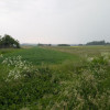 Działka Pińczyce