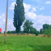 Działka Stary Dębsk ul.  