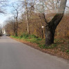 Działka Warszawa Białołęka, Wiśniewo