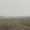 Działka Uniejów ul. Polna
