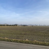 Działka Uniejów ul. Polna