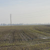 Działka Uniejów ul. Polna