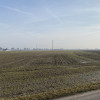 Działka Uniejów ul. Polna