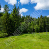 Targoszów | działka 2350 m2 | spokój | las | góry