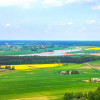 Lokal Iława ul.  