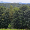 Działka Czechówka ul.  