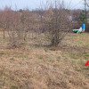 Działka Leśniewo ul. Lipowa