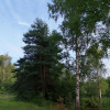 Działka Żuków ul.  