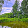 Działka Żuków ul.  