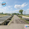Lokal Gdańsk ul.  