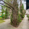 2 pokoje| ogród + parking| centrum Wrzeszcz