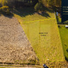 Działka budowlana 2299m2 przy lesie | Trąbki Małe