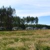 Działki 10a pod zabudowę pod lasem- Widełka