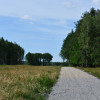 Działki 10a pod zabudowę pod lasem- Widełka