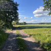 Działka Wilkowyja ul.  