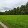 Działka Wodzisław Śląski