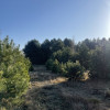 Działka o pow.6883 m² w zielonej okolicy.