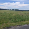 Działka pod budowę domu jednorodzinnego