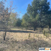 Idealne miejsce na dom,6241 m² blisko lasu i rzeki