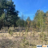 Idealne miejsce na dom,6241 m² blisko lasu i rzeki