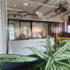 Lokal Warszawa Śródmieście ul. Nowogrodzka