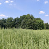 Działka budowlano leśna- Nowodworze- Małopolska