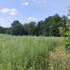 Działka budowlano leśna- Nowodworze- Małopolska