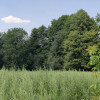Działka budowlano leśna- Nowodworze- Małopolska