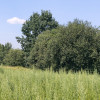 Działka budowlano leśna- Nowodworze- Małopolska