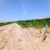 Sadków | Działki z Warunkami Zabudowy | 117 zł/m²