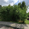 Działka Skarżysko-Kamienna