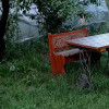 Sprzedam dużą, malowniczą działkę z domkiem we wsi Brzeźce koło Białobrzegów Radomskich