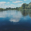 Sprzedam dużą, malowniczą działkę z domkiem we wsi Brzeźce koło Białobrzegów Radomskich