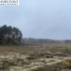 Kamień - działka przy zagajniku