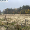 Kamień - działka przy zagajniku