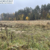 Kamień - działka przy zagajniku