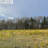 Kamień - działka przy zagajniku