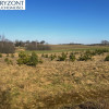 Kolonia (gm.Kartuzy) działka