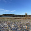 Bojano - trzy działki do wyboru
