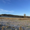 Bojano - trzy działki do wyboru