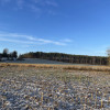 Bojano - trzy działki do wyboru